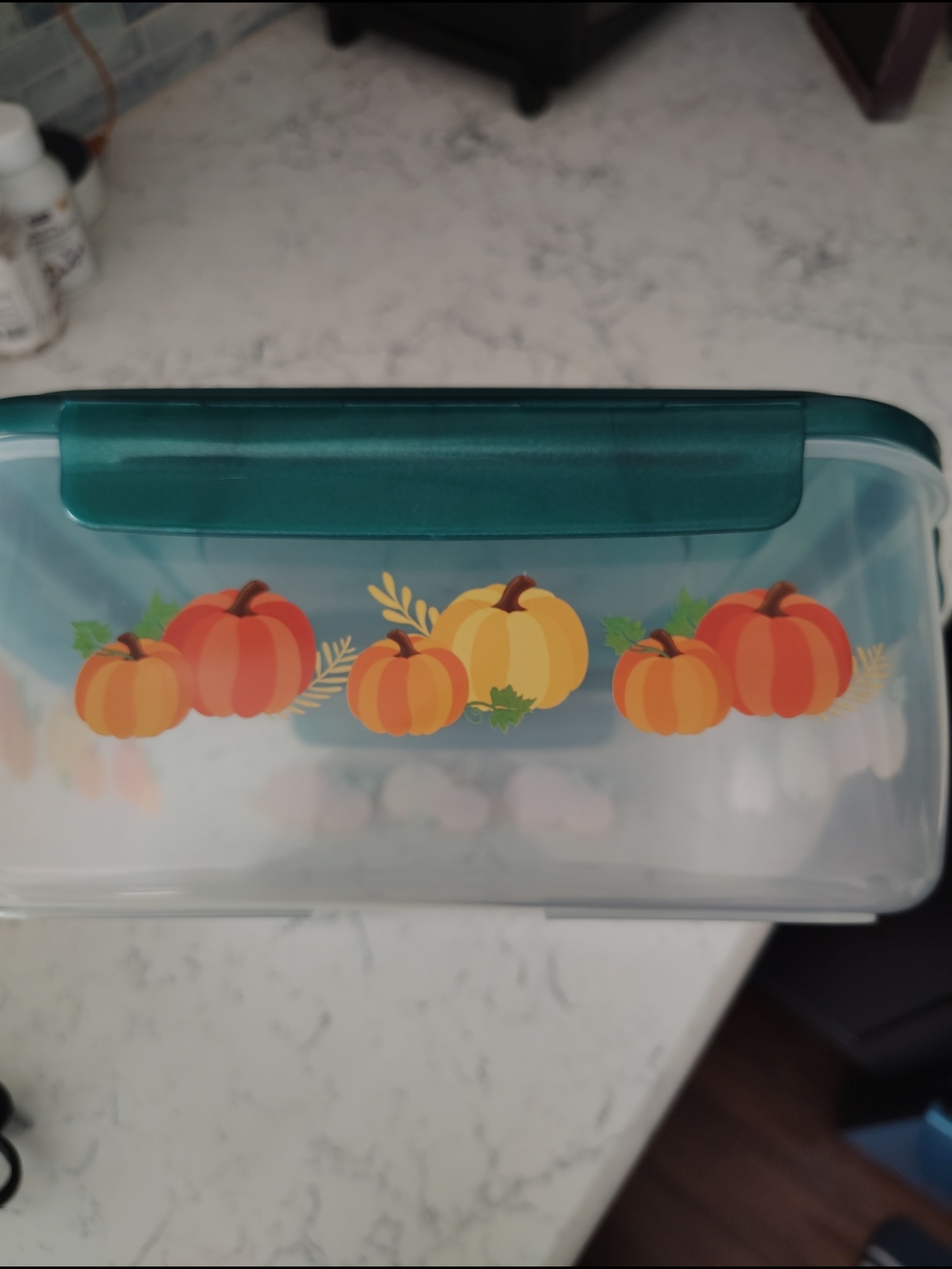 Lock N Lock Food Storage 3.9 QT Container- Teal Lid